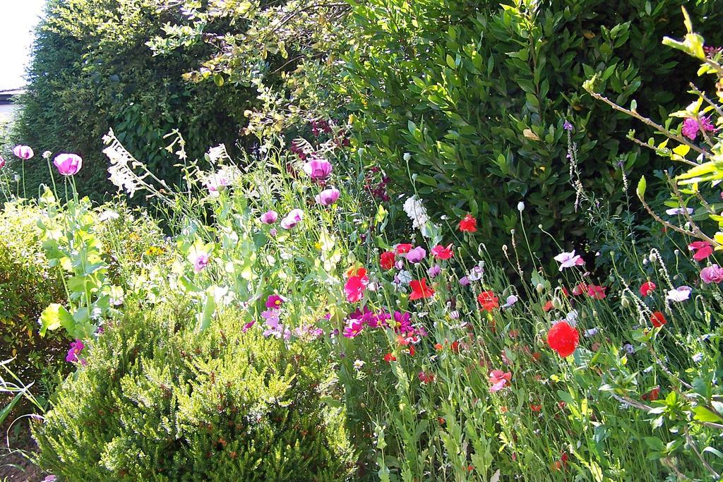 Anchorage Guest House Brixham Eksteriør bilde